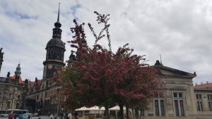 Поездка в Дрезден/Галерея старых мастеров