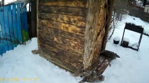 Как построить туалет из горбыля своими руками.