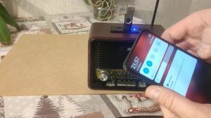 Радиоприёмник Ritmix RPR-088