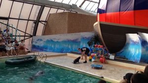 Дельфинарий Ростов-на-Дону