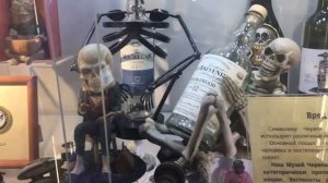 Музеи Зеленоградска (Мурариум, Музей Скелетов и ФилоСовия)