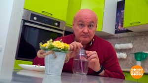 Как восстановиться после пневмонии. Доброе утро. Фрагмент выпуска от 10.11.2023