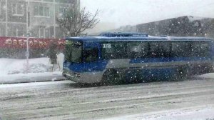 На Камчатке расследуют гибель 54-летней пассажирки рейсового автобуса