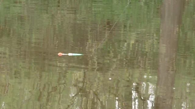 РЫБАЛКА НА ПОПЛАВОК в АПРЕЛЕ. Весенняя рыбалка на поплавок! смотреть онлайн