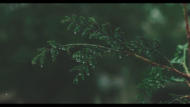 поучительная история смотреть онлайн