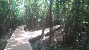 Таиланд 2020.Краби.Горячие источники.Изумрудное озеро.Emerald Pool.