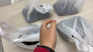 БИЗНЕС НА МИКРОЗЕЛЕНИ с нуля: сколько заработал?