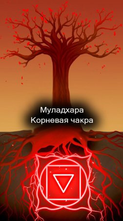 42/51 Муладхара. Корневая чакра. #Shorts