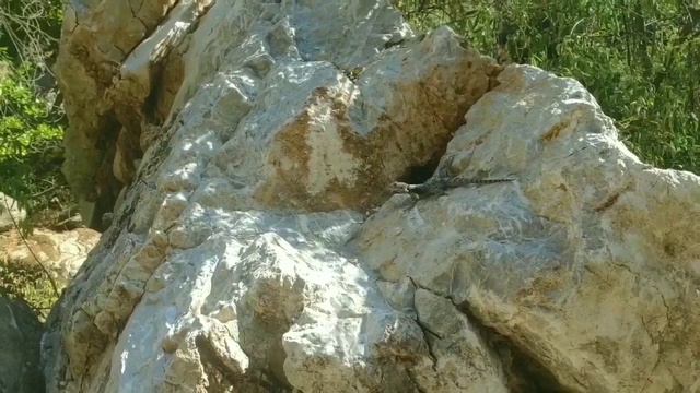 Каньон Ичмелер Мармарис Октябрь 2020 (Часть 2) 🌍🇹🇷