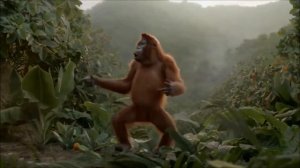 Birthday - Orangutan Dance - Beatles Cover