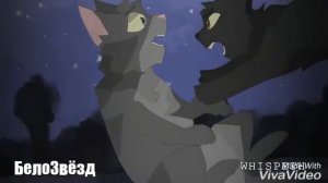 Грач и Ветерок[Коты Воители-Cats Warriors(Что же ты делаешь папа?){Заказ:КВ,Undertale и Крипипаста}