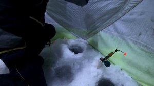 Ловля корюшки на финском заливе на дальневосточную снасть! Новая снасть для ловли корюшки. СДФЗ