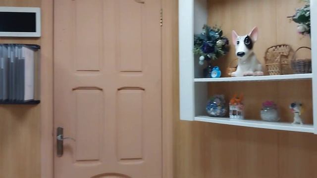 Аренда в Балашихе.Обзор нового салона для стрижки домашних животных "ЭВЕРЕСТ" смотреть онлайн