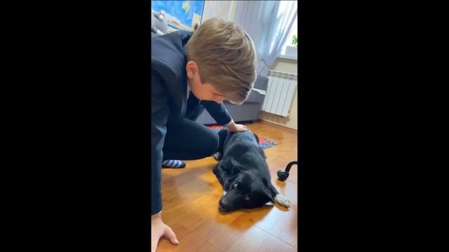 С. Есенин "Собаке Качалова" #читаемЕсенина