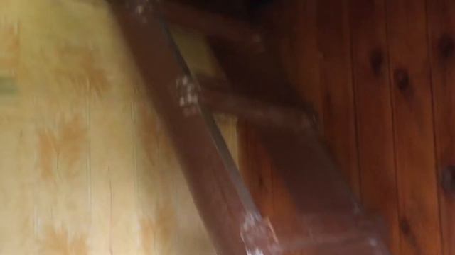 Видеообзор объекта: Московский тракт, Топаз с/о (14 км до центра г. Тюмень). 17.05.2020г. смотреть онлайн