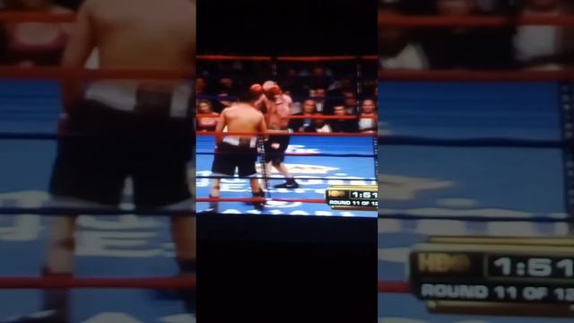 Sergio Martinez vs Kelly Pavlik Full Highlight HD