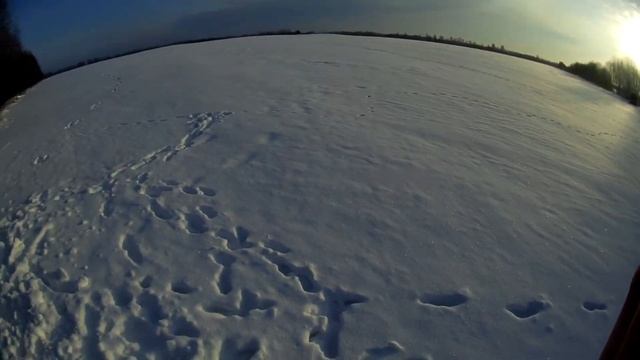 Пришел волк. смотреть онлайн