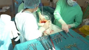 Мастер-класс «Аутотрансфузия крови - Cell Saver»