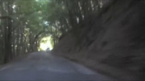 Дорога на Ай-Петри серпантин, как добраться из Ялты