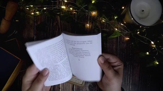 Messages From Your Animal Spirit Guides Oracle Deck Review смотреть онлайн