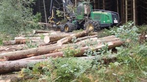 Hogstmaskin i Haugen Skog