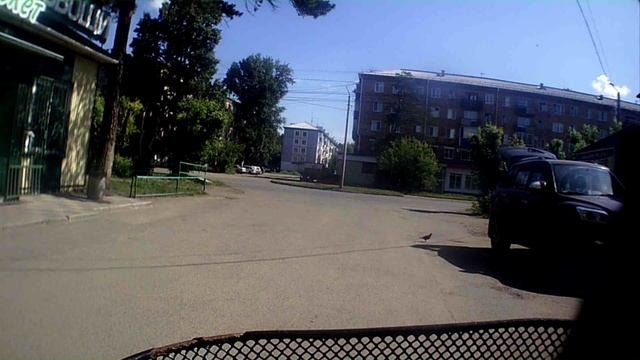 катаюсь по роще канск