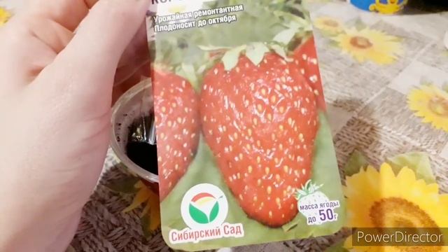 КАК ПОСЕЯТЬ КЛУБНИКУ/ЗЕМЛЯНИКУ???РАЗМНОЖЕНИЕ ЯГОД. ПОСЕВ 2020???