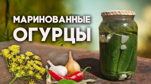 Маринованные огурцы на зиму и универсальный маринад