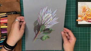 Мои рисунки цветными карандашами на цветной бумаге