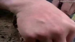 Как добыть огонь с помощью напильника,кремня и угля ?