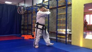 Тхэквондо МФТ Блок- САНГ ПАЛЬМОК МАКГИ