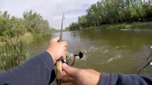 Ловля голавля, щуки и окуня. Река Чир. 2021.