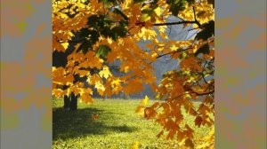 Не печалится осень моя.3. Любовь Чернышова - стихи, читает автор