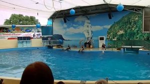 Танец дельфинов с тренерами (анапский дельфинарий "Немо")