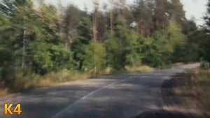 Ремонт скутера, мопеда на выезд