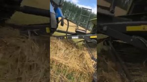 Пресс подборщик Claas Variant 350 в работе | Только положительные отзывы?| #прессподборщик #claas