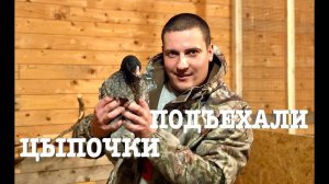 #30. Новая ступень в развитии хозяйства! [Жизнь на своей земле]