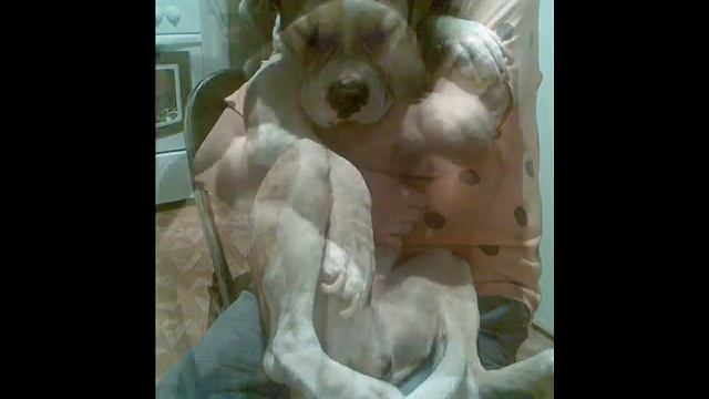 Меня звали Тося смотреть онлайн