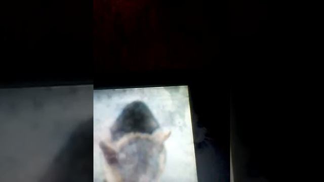 Самая грустная история про кота смотреть онлайн