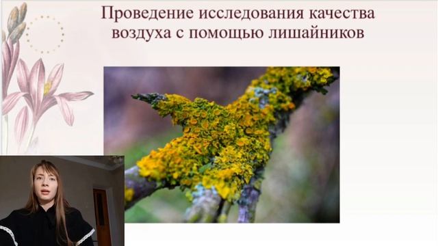Петрова Ульяна, Проект "Как проводить измерения состояния воздуха с помощью методов лихеноиндикации смотреть онлайн