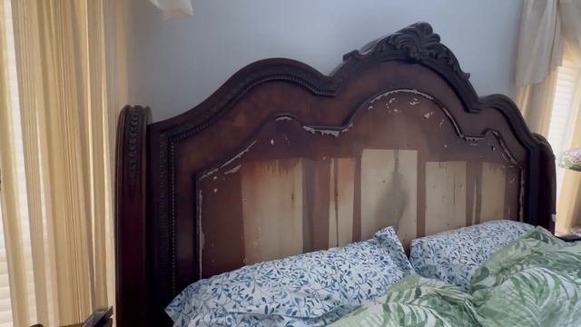 Надоело жить как бомжи! #натальяфальконе #сша #usa смотреть онлайн