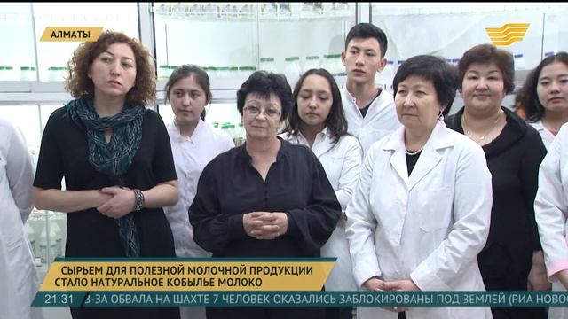Сырьем для полезной молочной продукции стало натуральное кобылье молоко