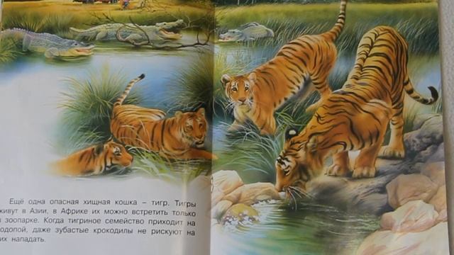 № 11. Познавательное аудиочтение. В Африке.