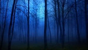 Александр Градский и группа Скоморохи Синий лес