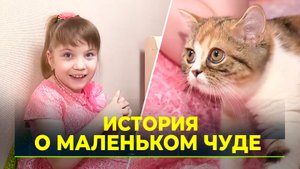 В Гыде котёнку, подаренному Дмитрием Артюховым, исполнилось пять лет