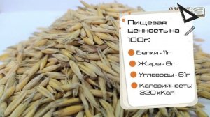 Овес в шелухе. Обзор