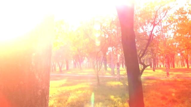 Блюз осенних листьев