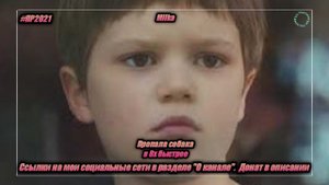 Milka — «Пропала собака» в 8х быстрее | PRO Рекламу