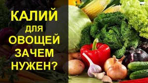 Калий для овощных культур. Калийные удобрения: значение для растений и правила применения