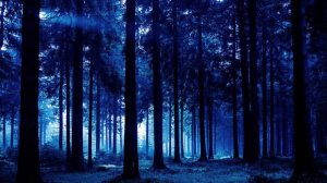 Фактор 2 - Казанова | cover